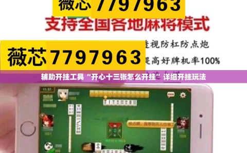 辅助开挂工具“开心十三张怎么开挂”详细开挂玩法