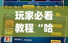 玩家必看教程“哈灵麻将怎么提高胜率(透视)”详细辅助透视