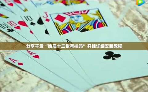 分享干货“哈局十三张有挂吗”开挂详细安装教程