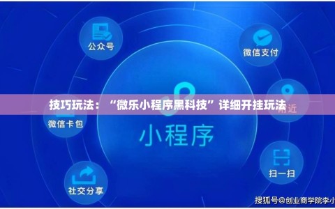 技巧玩法：“微乐小程序黑科技”详细开挂玩法