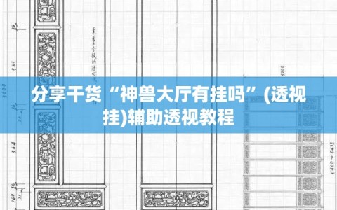 分享干货“神兽大厅有挂吗”(透视挂)辅助透视教程