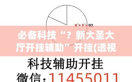 必备科技“？新大圣大厅开挂辅助”开挂(透视)辅助神器