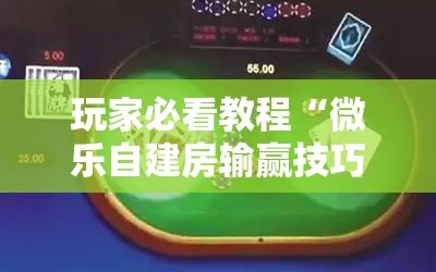 玩家必看教程“微乐自建房输赢技巧!辅助神器插件下载