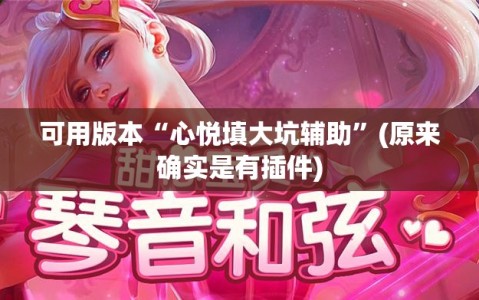 可用版本“心悦填大坑辅助”(原来确实是有插件)