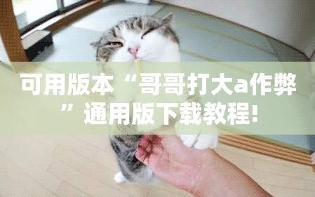 可用版本“哥哥打大a作弊”通用版下载教程!