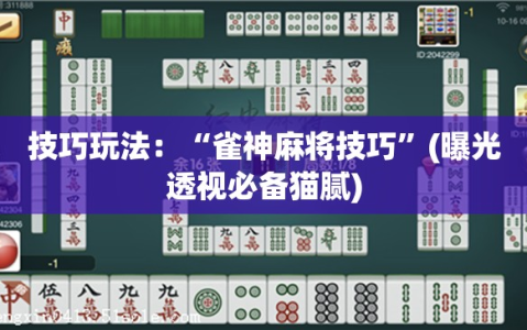 技巧玩法：“雀神麻将技巧”(曝光透视必备猫腻)