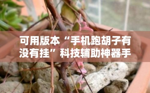 可用版本“手机跑胡子有没有挂”科技辅助神器手机版教程